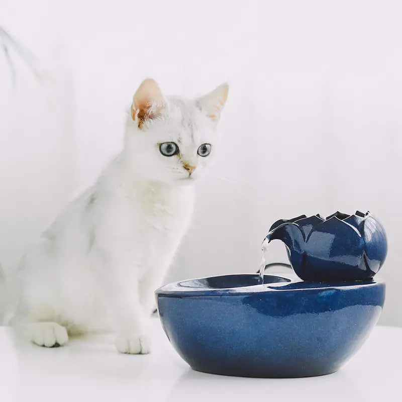 Pet Water Fountain for Cats and Dogs with Circulation
